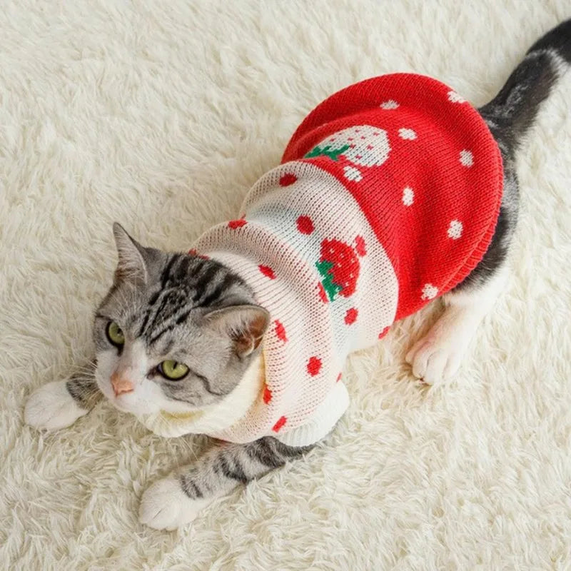 Vêtements chauds de Noël pour chiens et chats