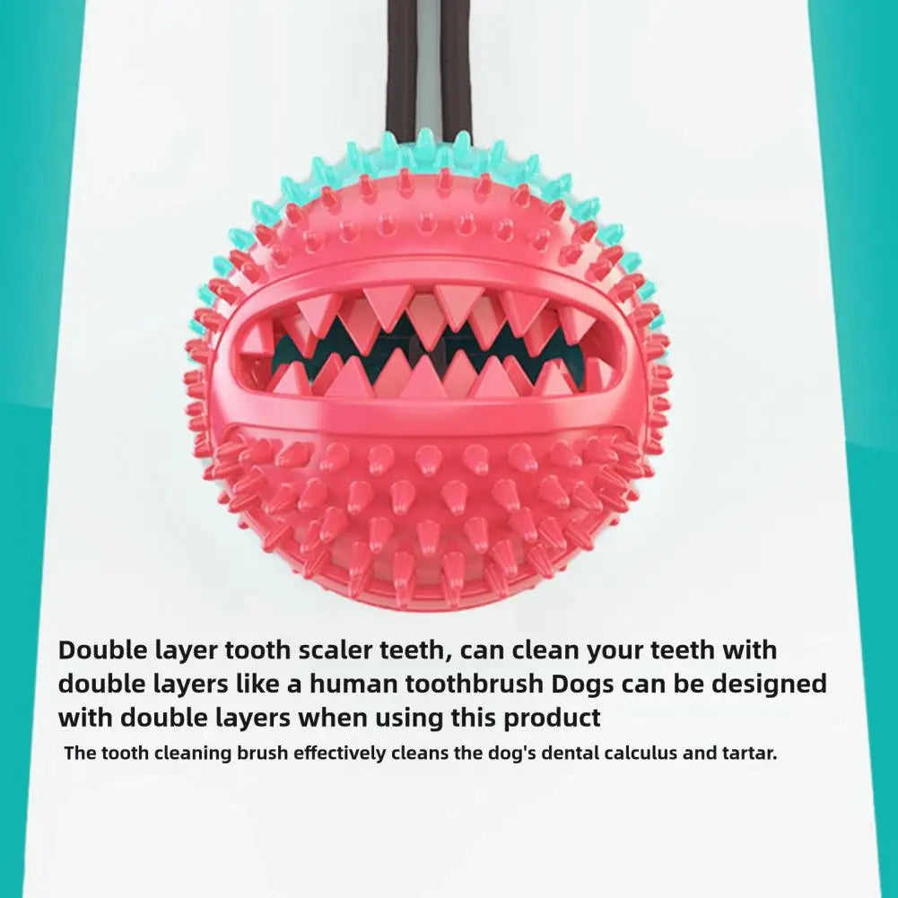 Jouets à mâcher pour chien, jouet interactif à ventouse pour chien, jouet distributeur de friandises