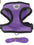 Harnais pour chat, gilet ajustable, laisse de promenade, collier et harnais en maille polyester