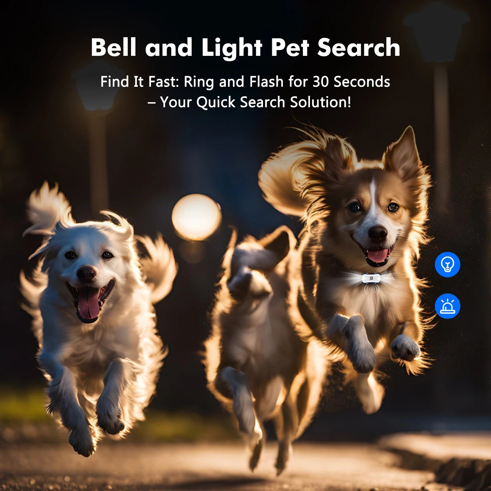 ‌Traceur GPS 4G pour chiens et chats - Localisateur intelligent étanche avec application, suivi en direct