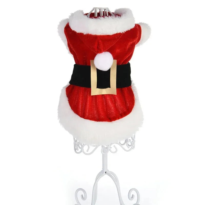 Veste / costume de noel pour chien