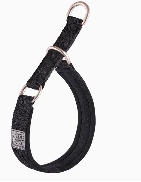 Collier de marche pour chien / Accessoire de dressage