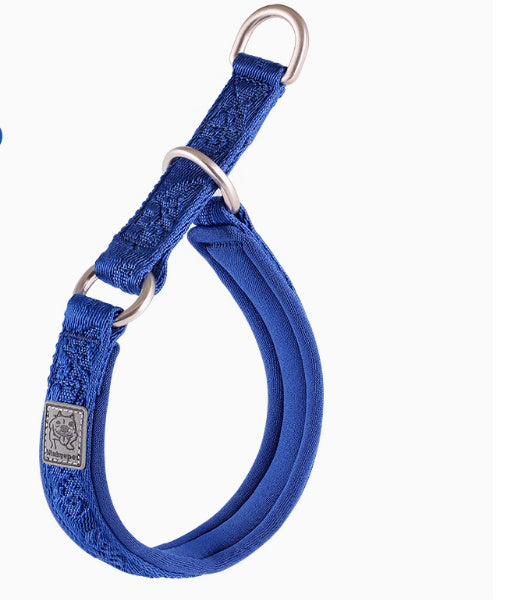 Collier de marche pour chien / Accessoire de dressage