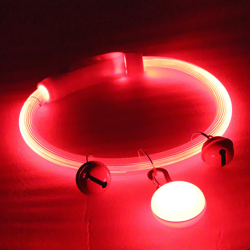 Collier lumineux pour chien brillant